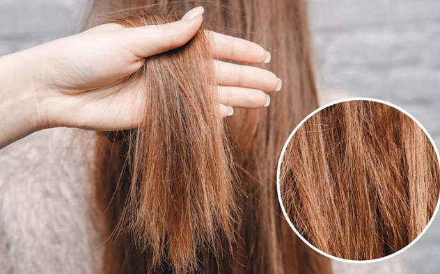 Chăm Sóc Tóc Hư Tổn Đúng Cách – Giải Pháp Giúp Tóc Phục Hồi Từ Bên Trong